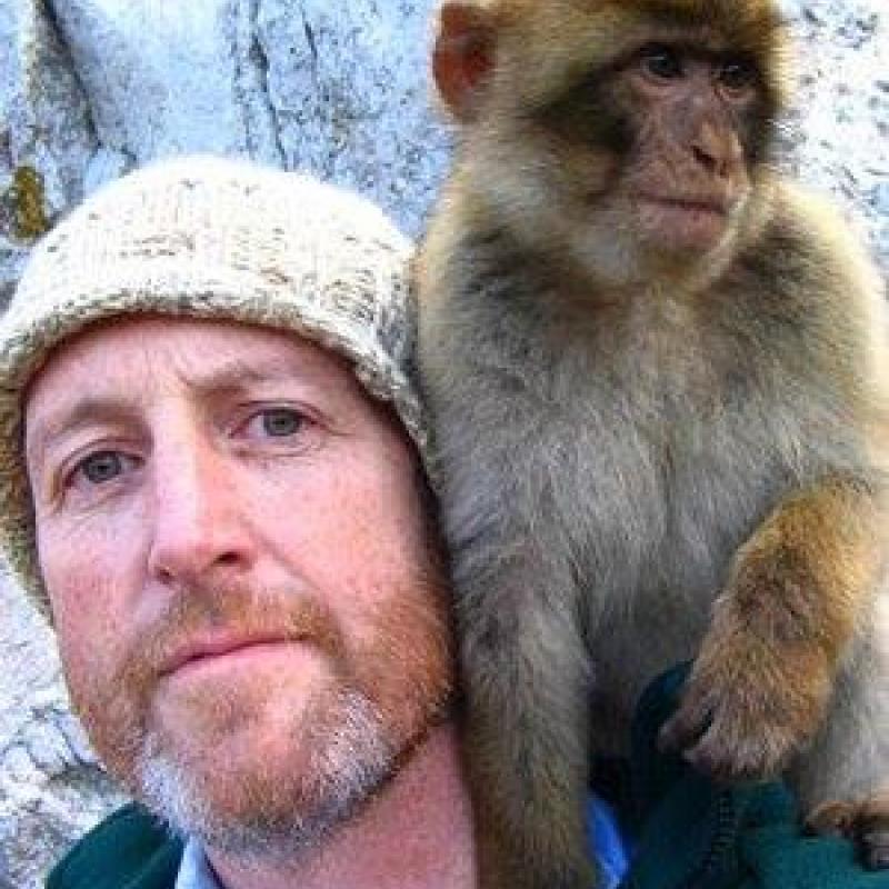 Artist James Gurney looks directly at the camera with a neutral expression. There is a small brown monkey perched on his shoulder. Gurney has a reddish beard with spots of gray hair and is wearing a beige knit hat.