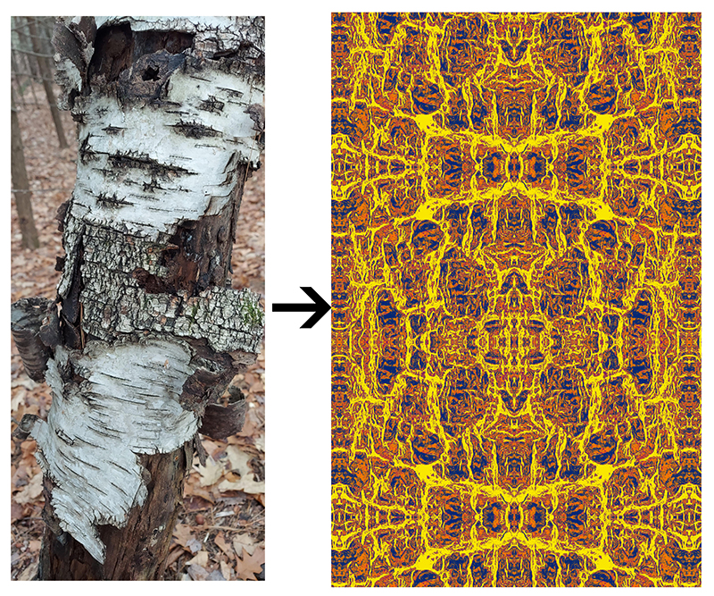 From Nature to Digitally Printed Fabric