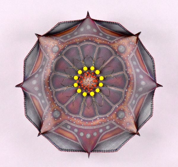 Lanny Bergner - Asta Mécanique (A top down view of an open basket. It looks like it could be the inside of a flower)