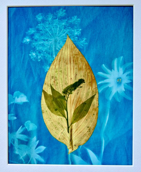 Gunnel Hag - Re-Seeds in my Yard (a quilt with blue background printed with a dandelion and a golden leaf in the center)