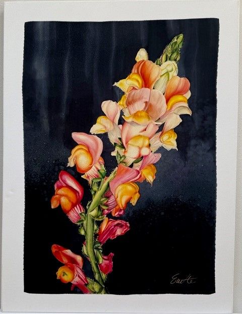 Evette Allerdings - Emergence (a realistic flower on a navy background)