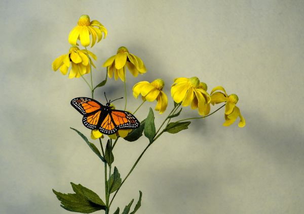 Tracey Lawko - Rudbeckia and Monarch (detail) (3d embroidered sculpture of butterfly and flowers)