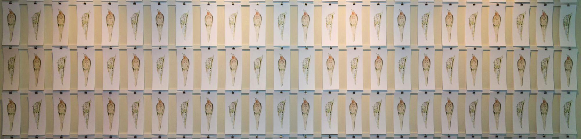 Artwork by Joan Webster-Vore