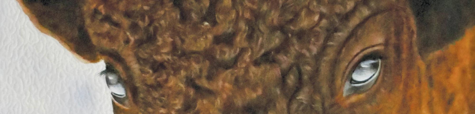 Artwork by Melanie Marr