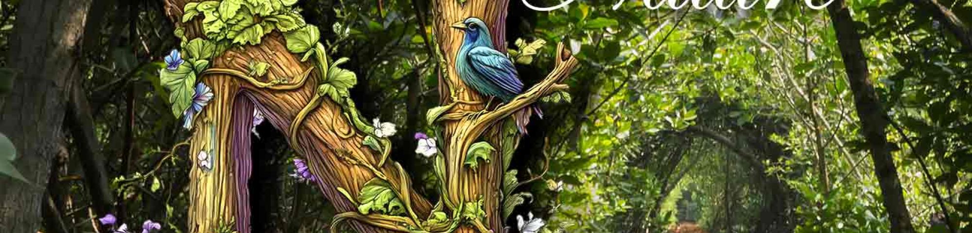 Connecting with Nature Cover Art