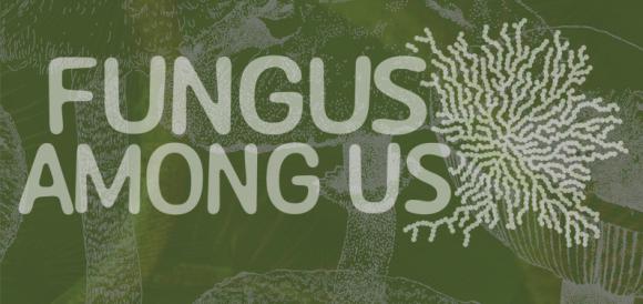 Fungus Among Us
