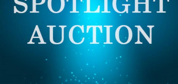 Spotlight Auction