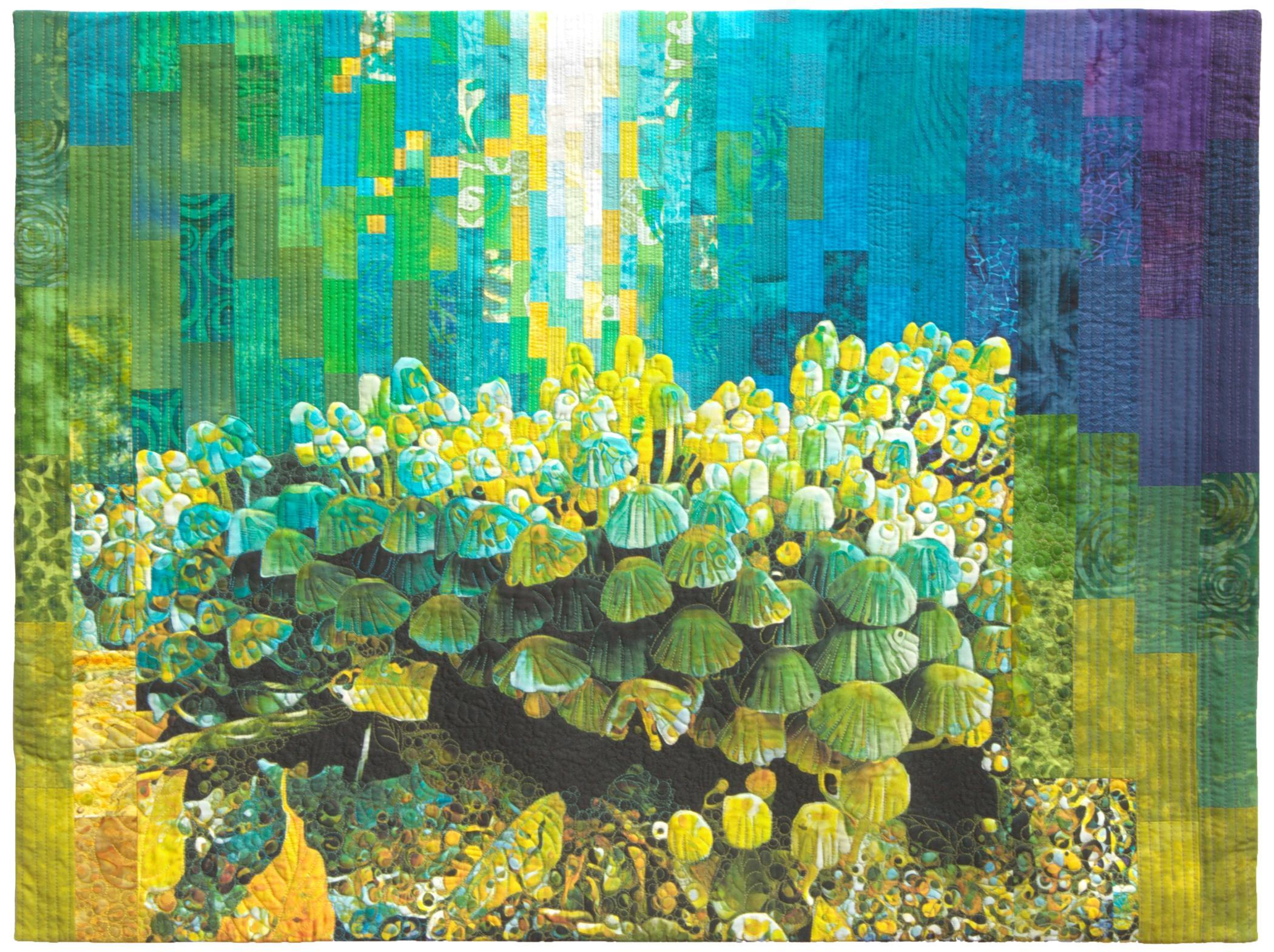  June  DaSilva Horwich - Forest Stories 2