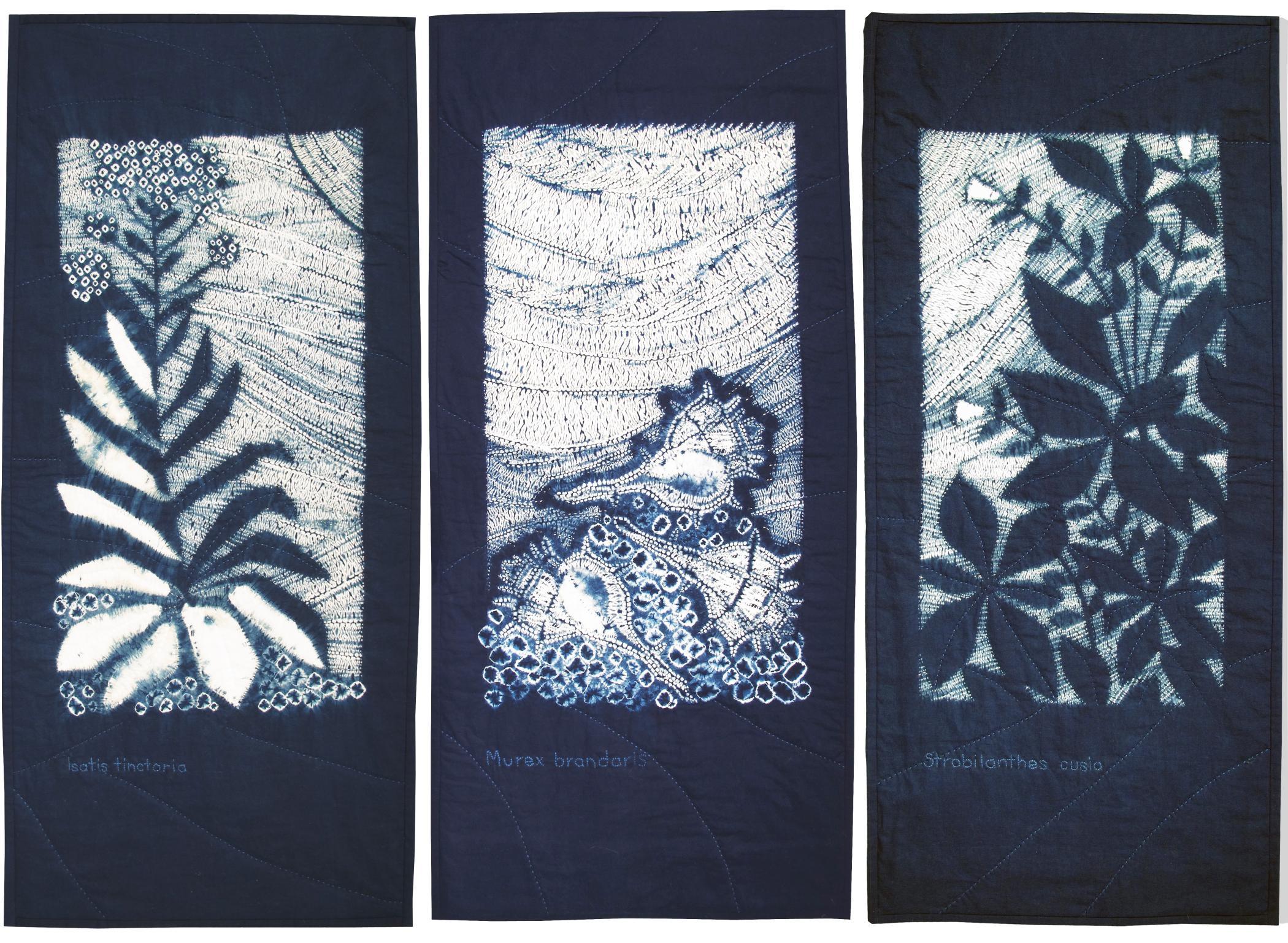  Carol Anne Grotrian - Indigo and the Murex