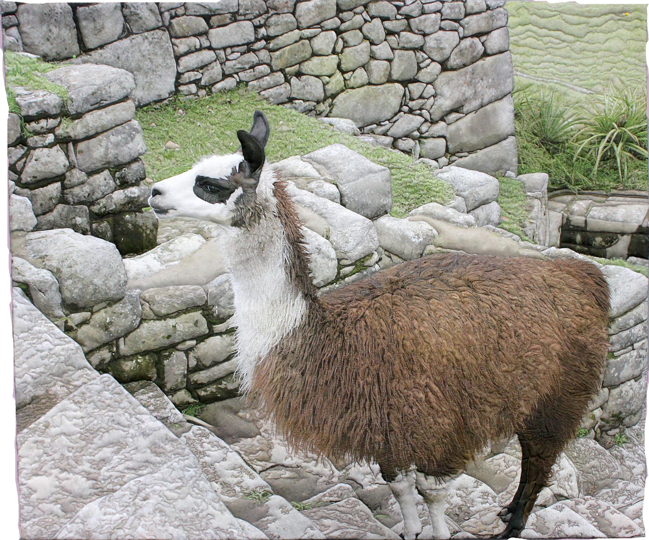 Barbara McKie - Machu Picchu Visitor