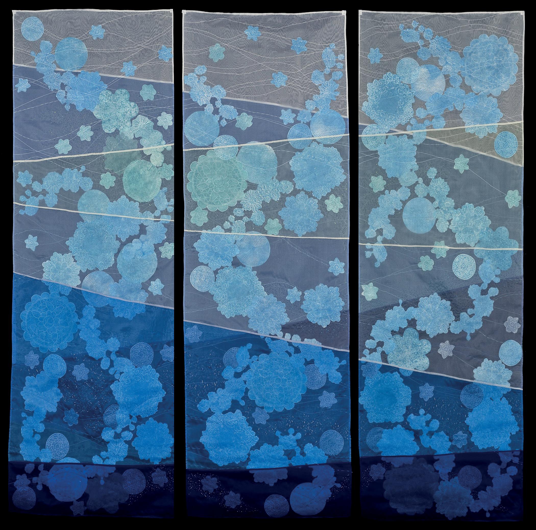 Nancy Crasco - Diatoms