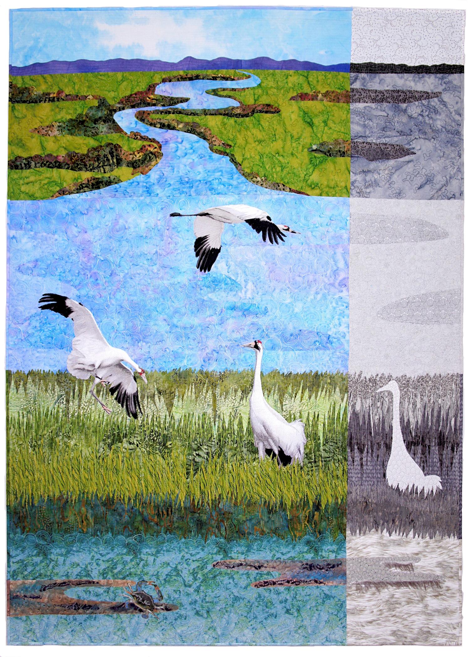 Sara Sharp - Can We Save the Whooping Cranes?