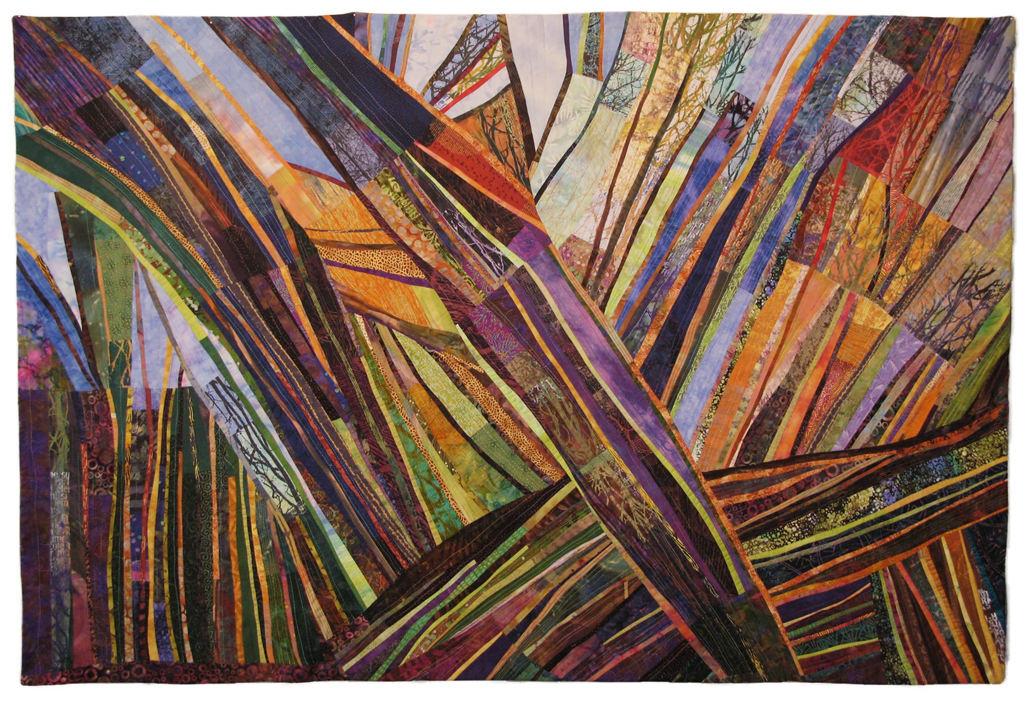 Susan Willen - Ordered Cacophony V