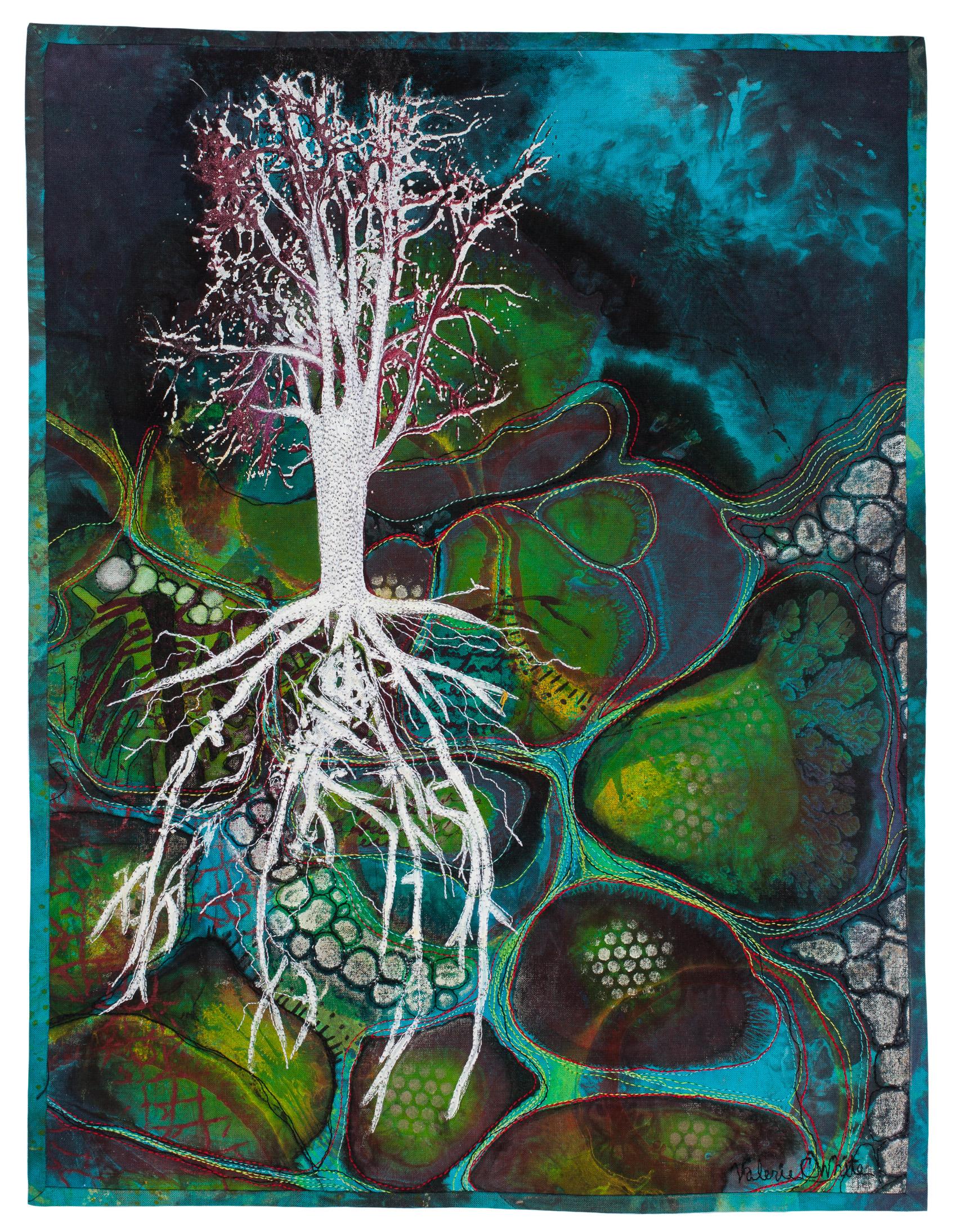 Valerie C. White - White Roots Soil Study 