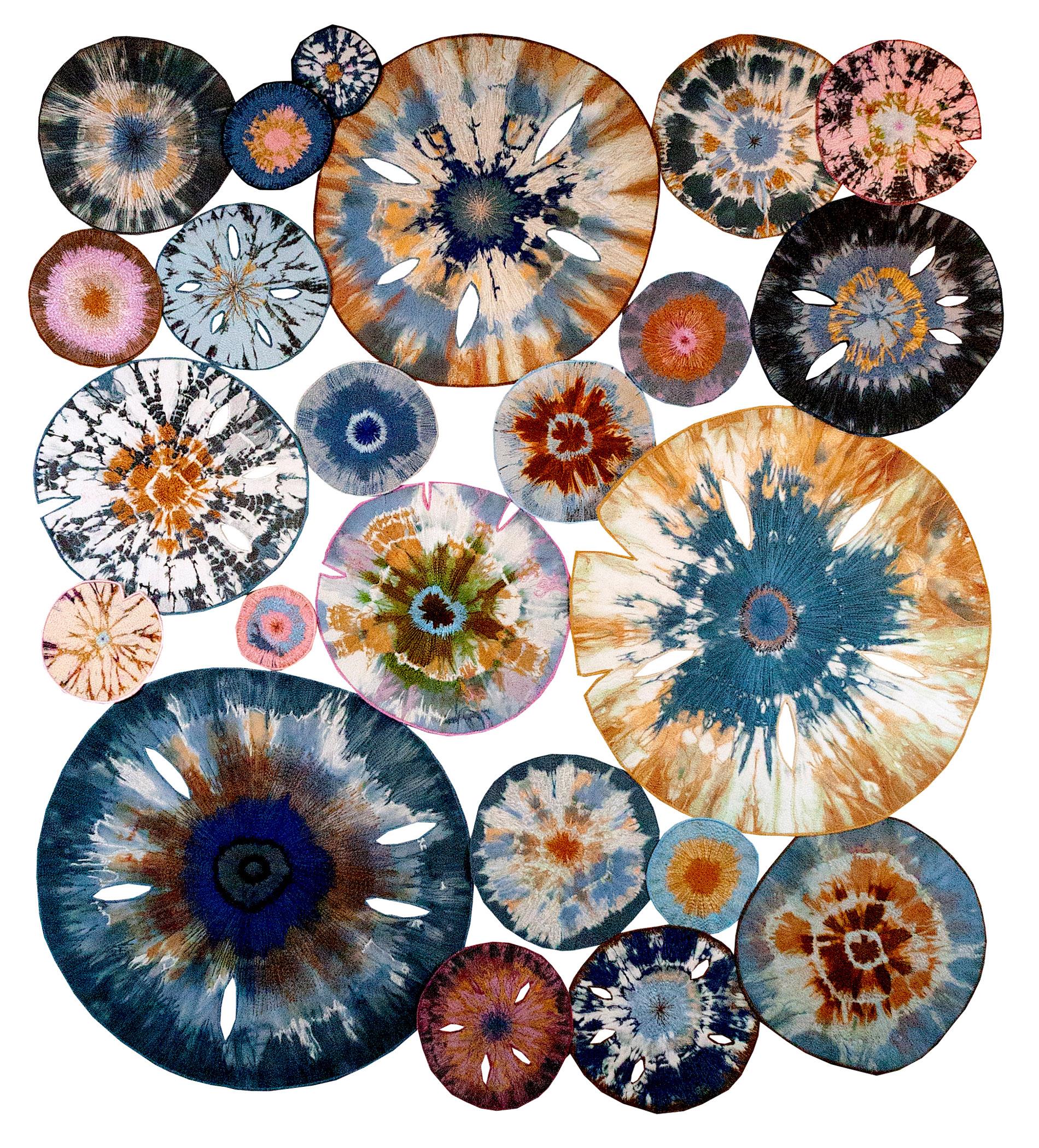 Diana S Fox - Gifts from the Universe Series - Water - Sand Dollars