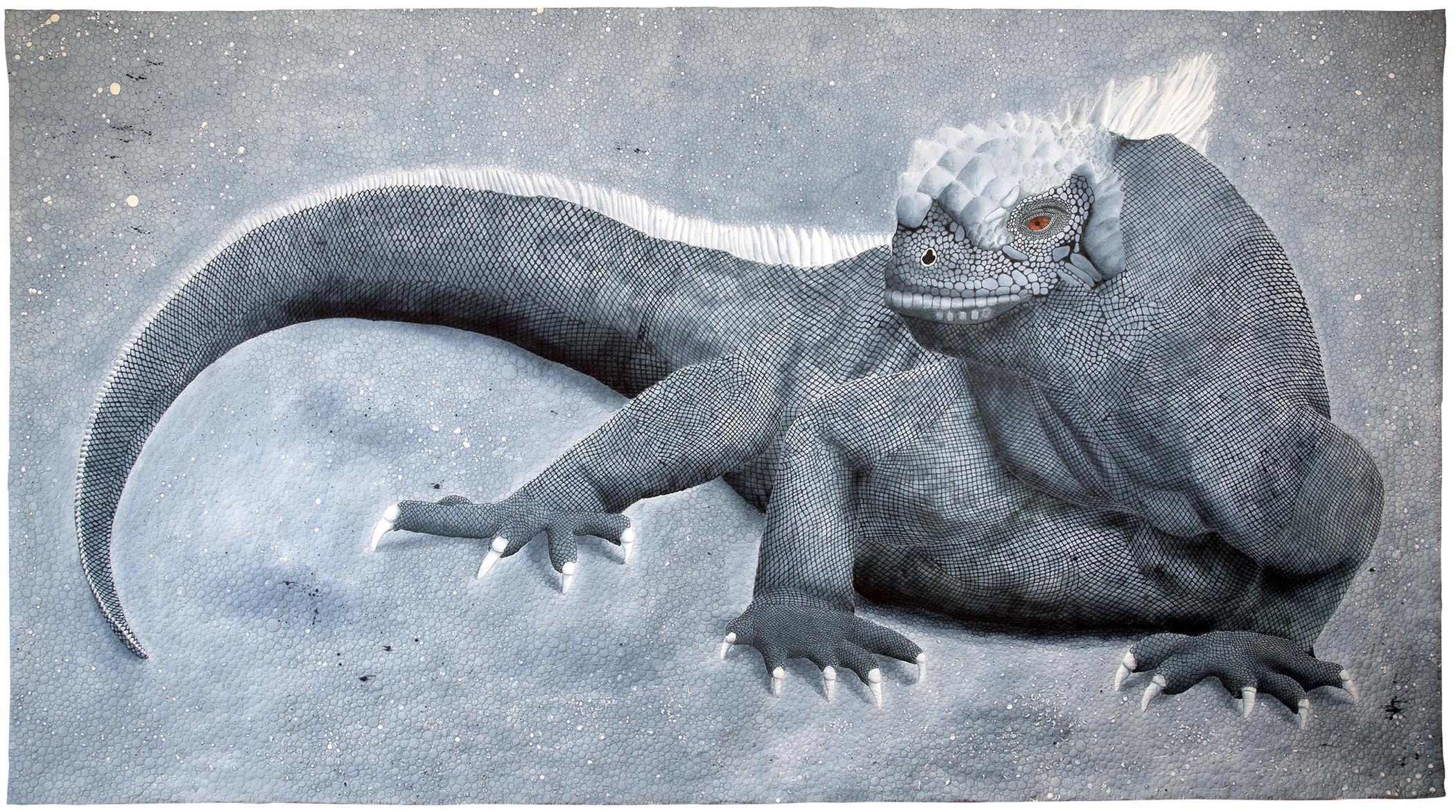 Sue  Sherman - Galápagos Marine Iguana