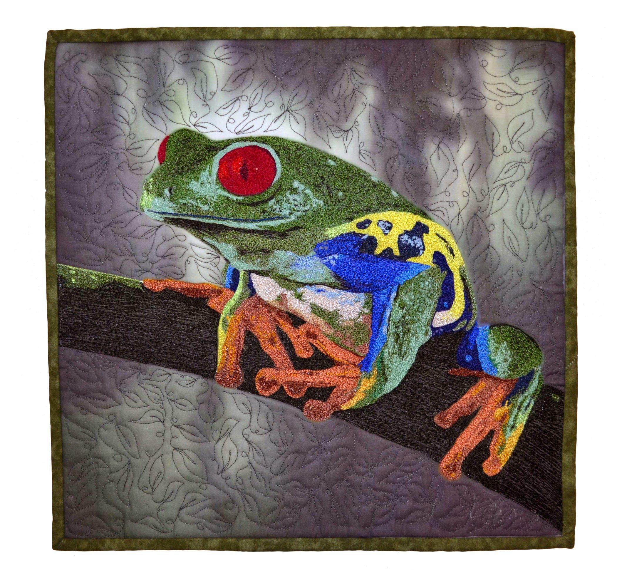 Jan Holzbauer - Red-Eyed Tree Frog