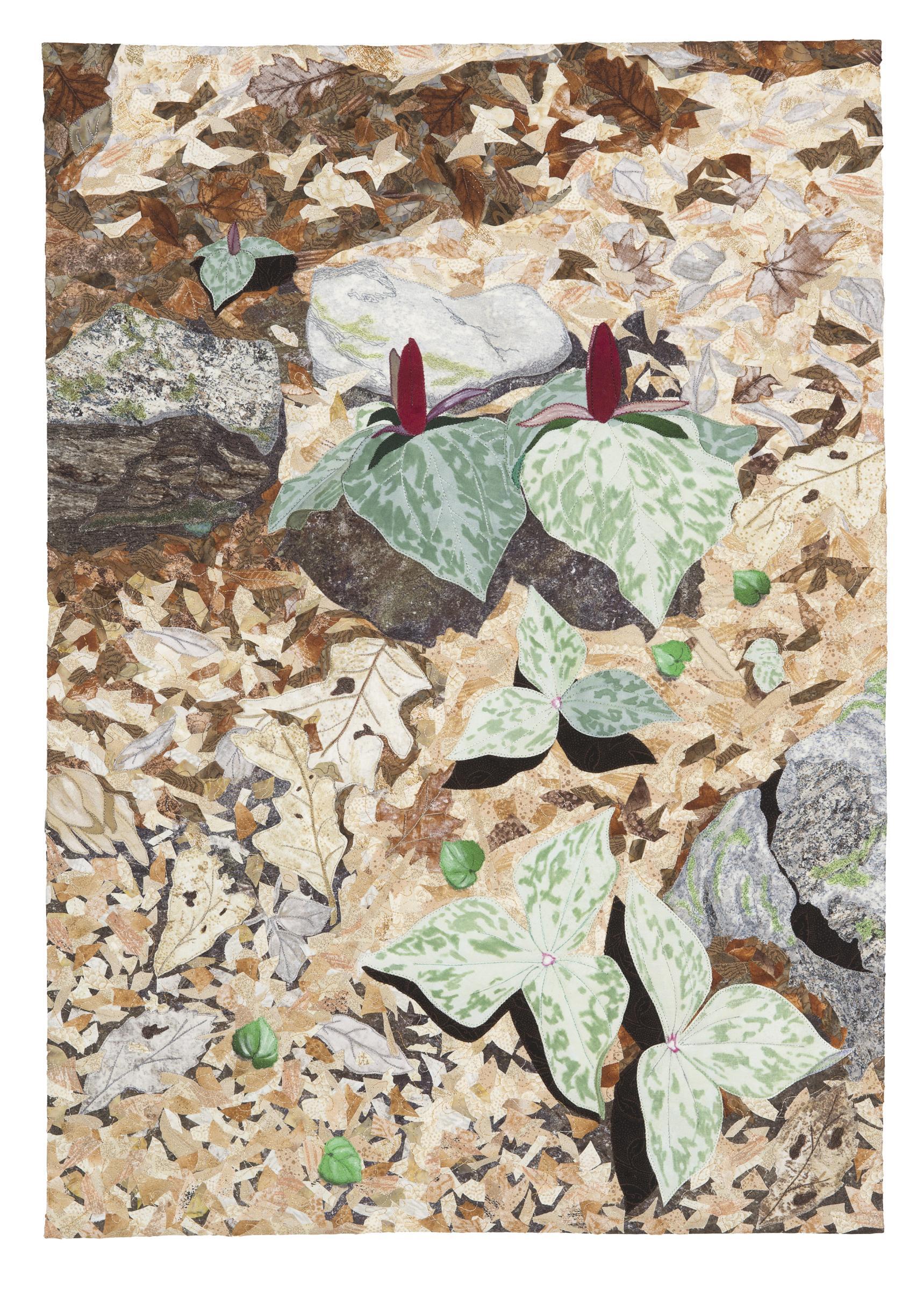  JoAnn G Camp - Appalachian Spring--Trillium