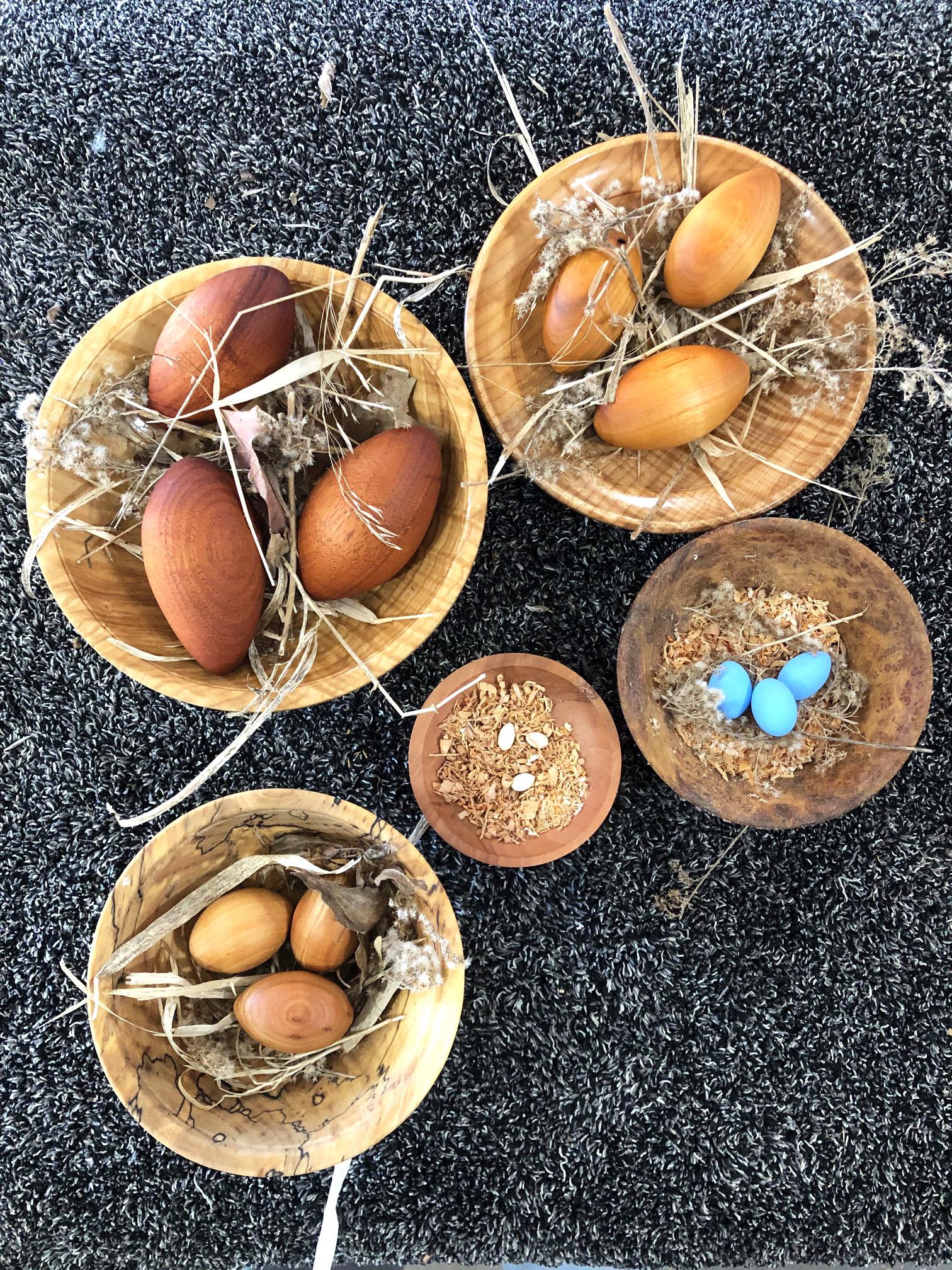 Tim J Heil - Minnesota Bird Eggs