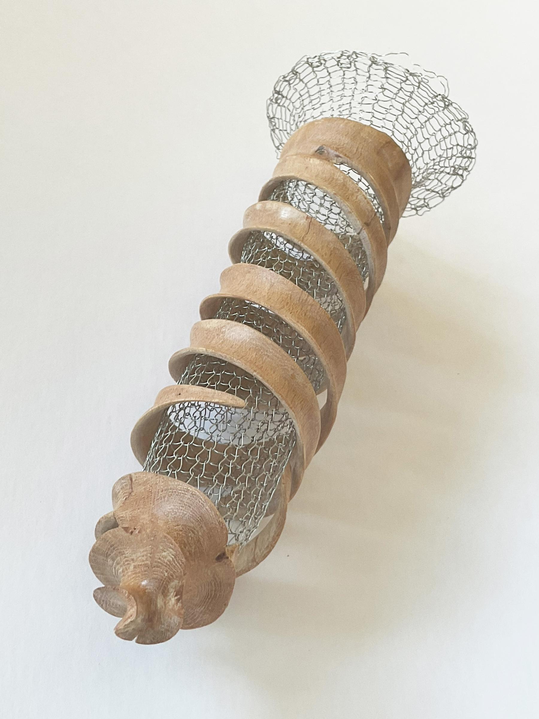 Jeannette M Rein - Spiral Pod