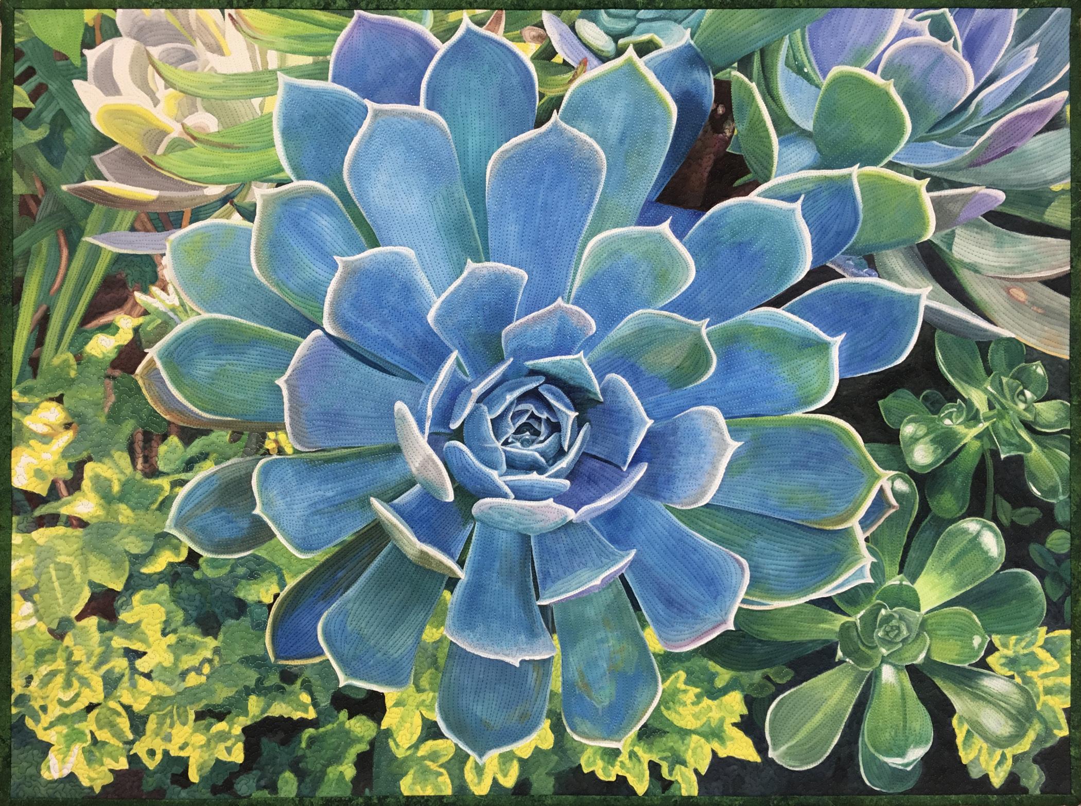Lenore  Crawford - Succulents IV