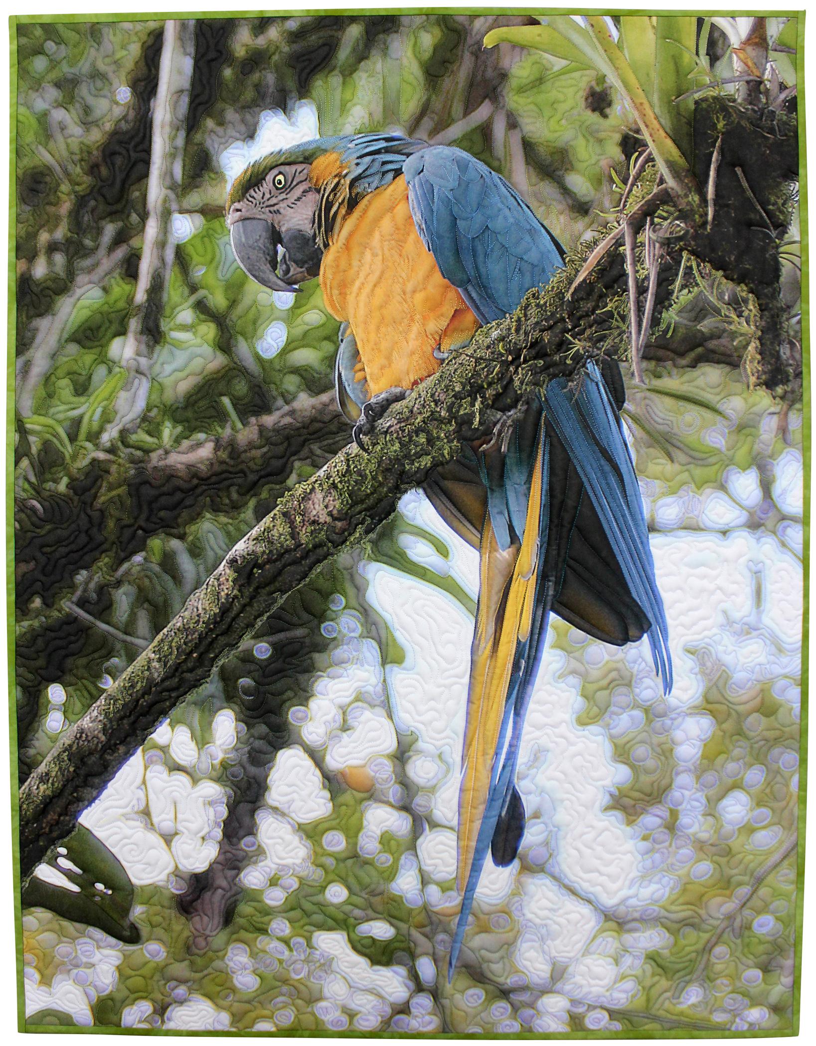 Barbara  McKie - Blue and Gold Macaw