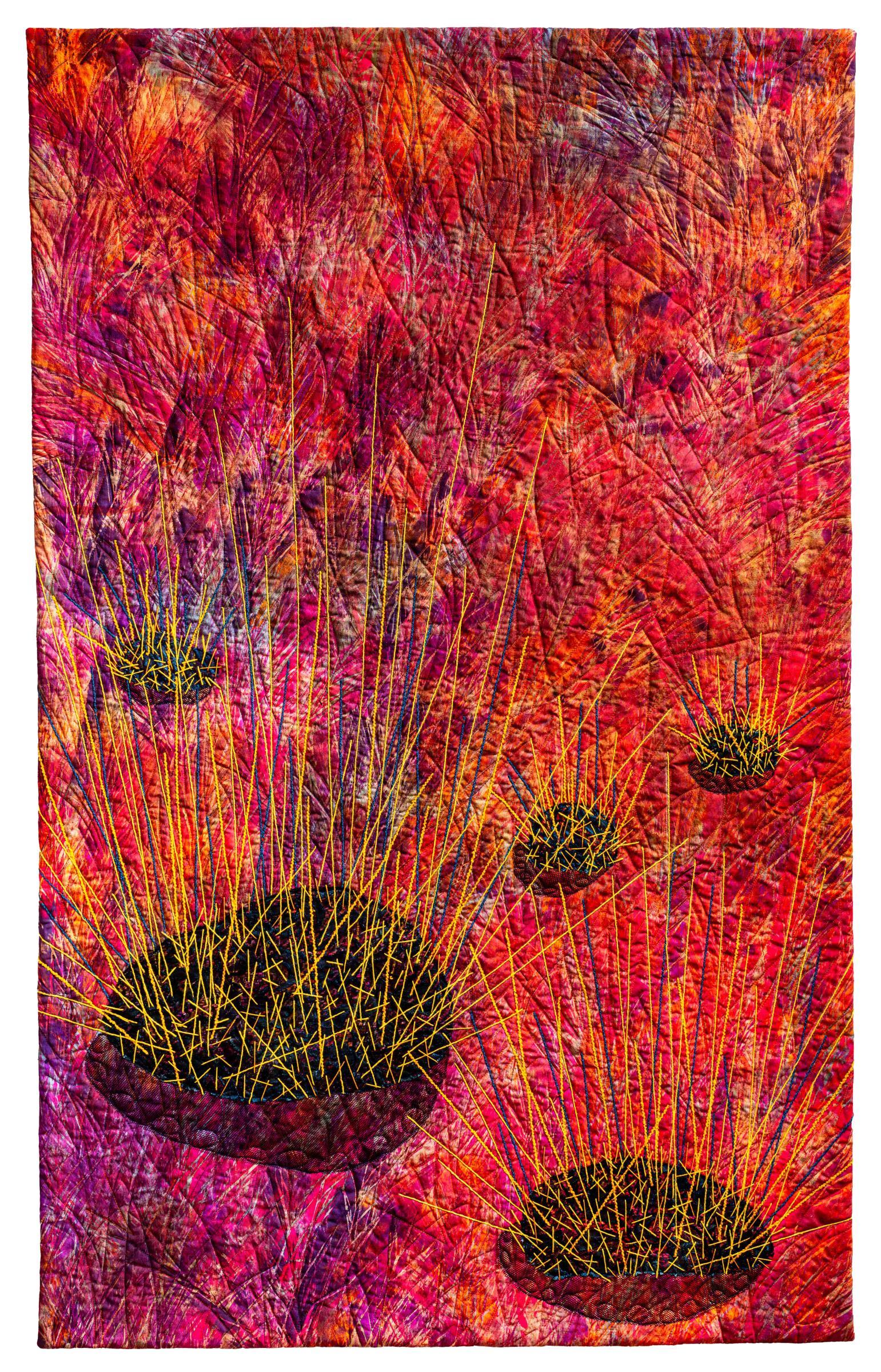 Sue Dennis - Spinifex Country