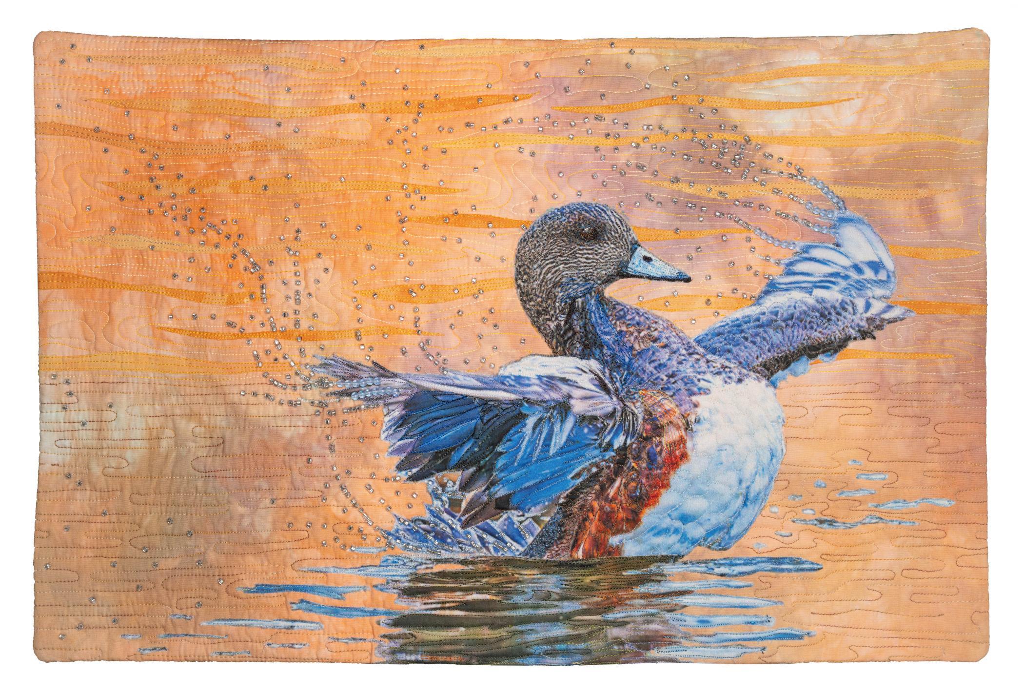 Carolyn  Maia Burton - Splash Down