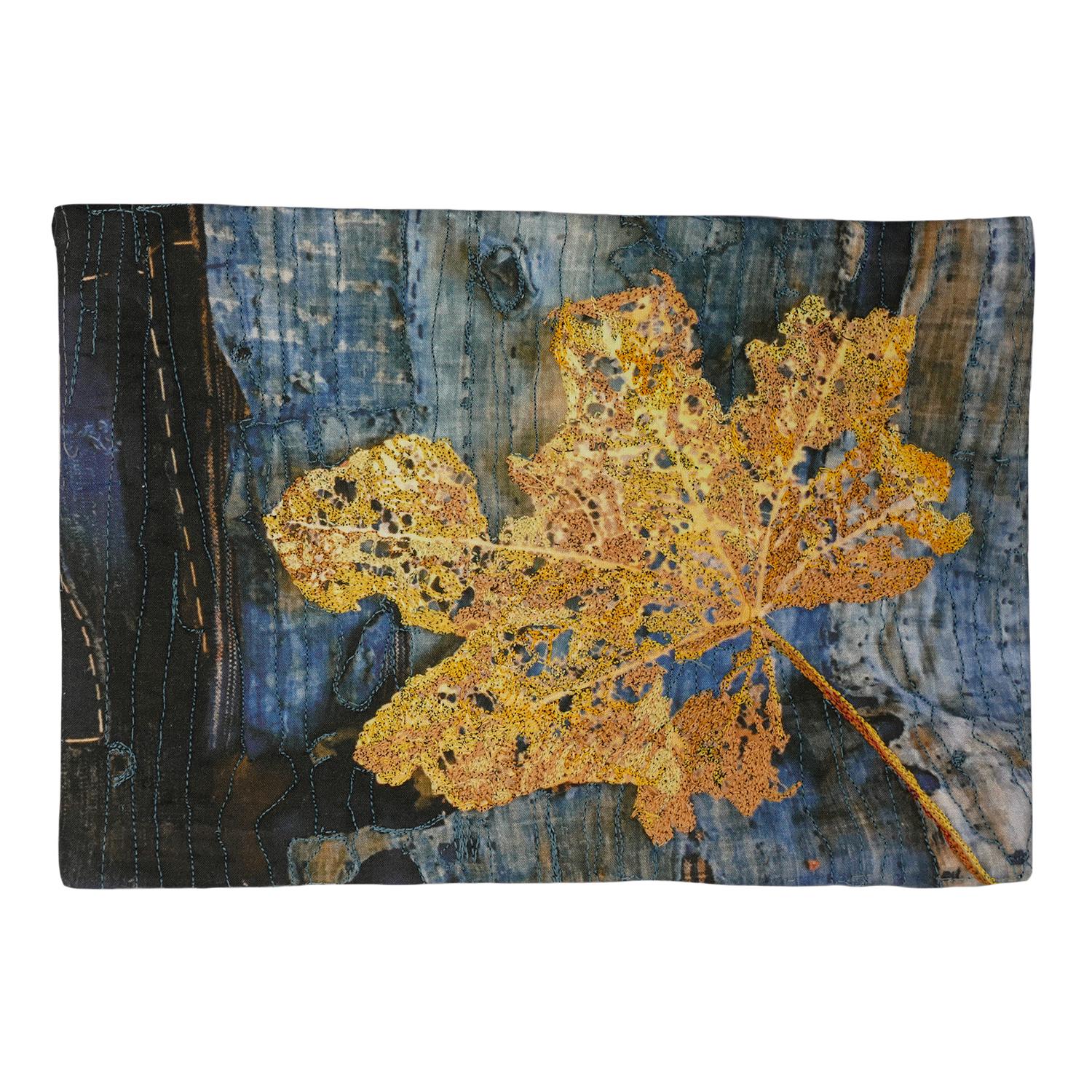 Barbara J. Schneider - Still Life In Indigo, Fall Hollyhock