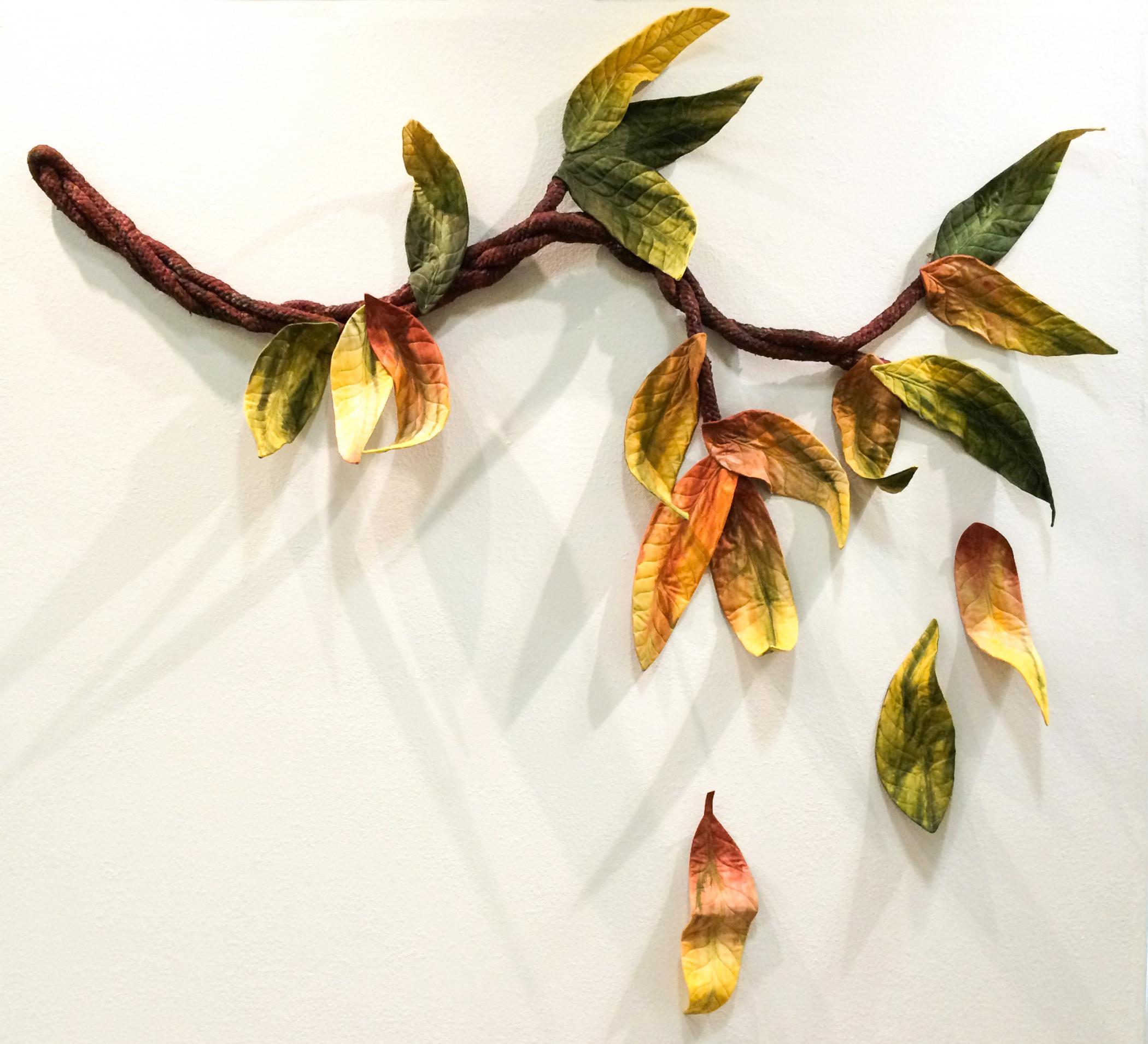 Marjan Kluepfel - Eucalyptus Branch