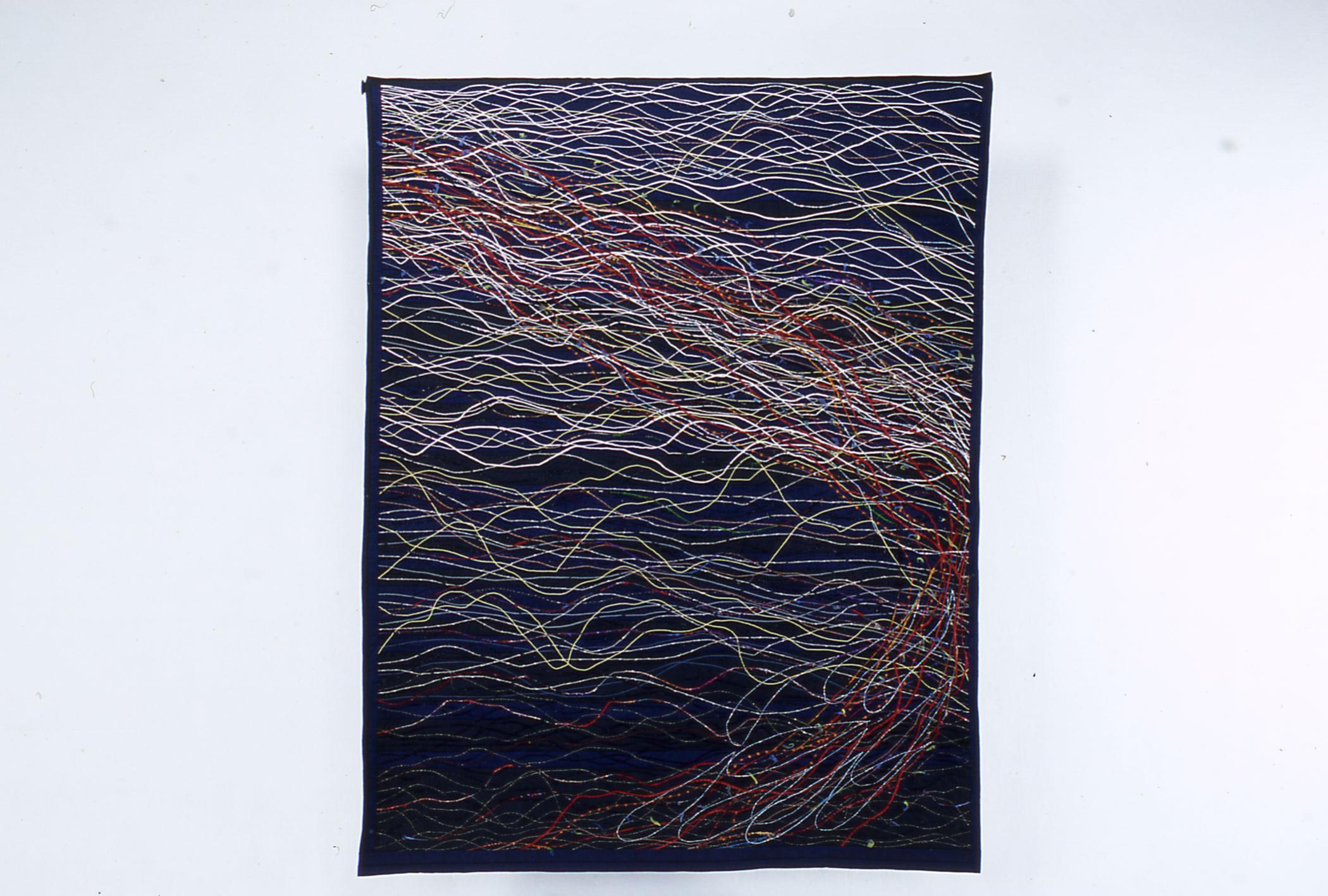  Chiaki  Dosho - Reflecting Fish in the Sea