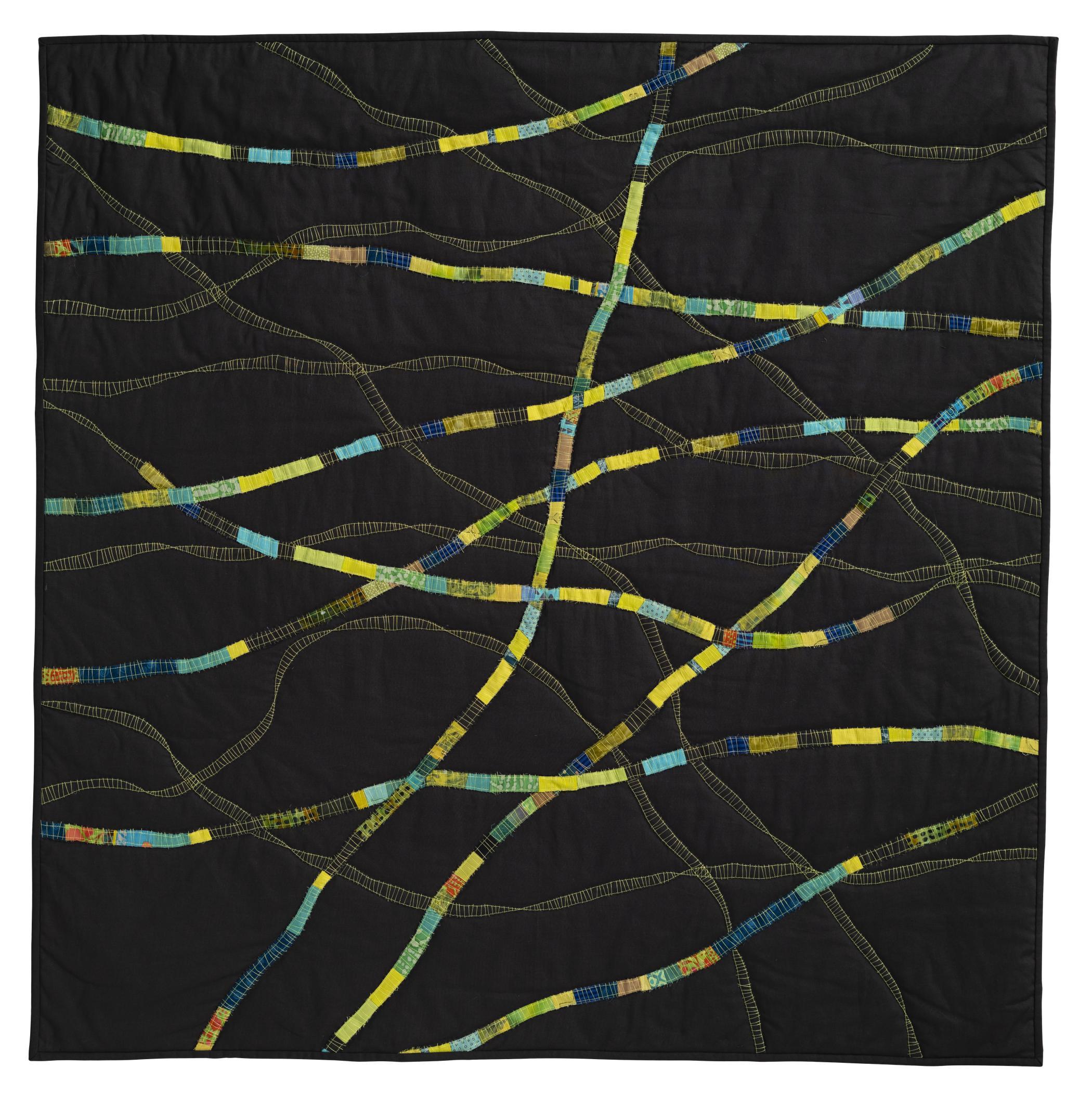  Alison   Schwabe - Spirogyra 3:  In The Weeds