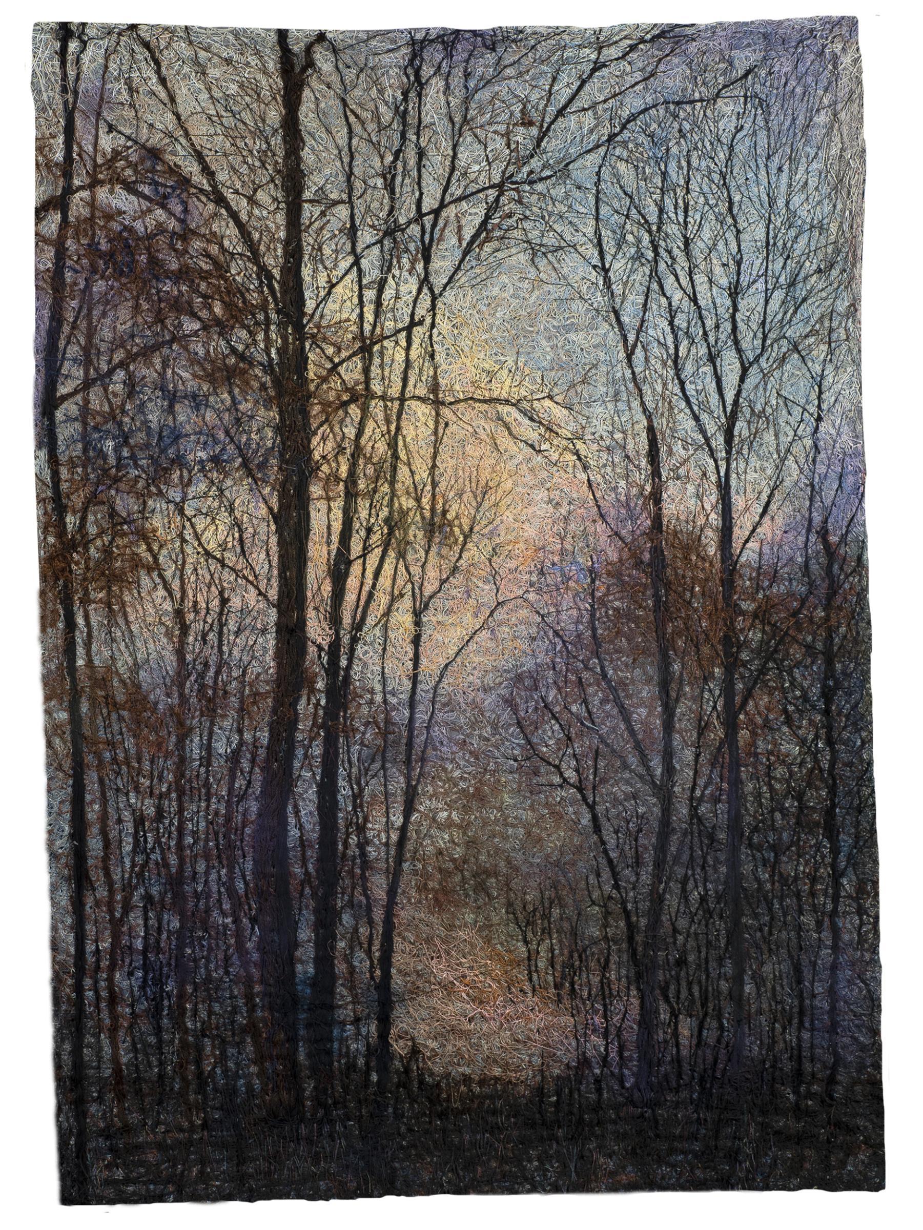 Winter Trees - A Glimmer of Light