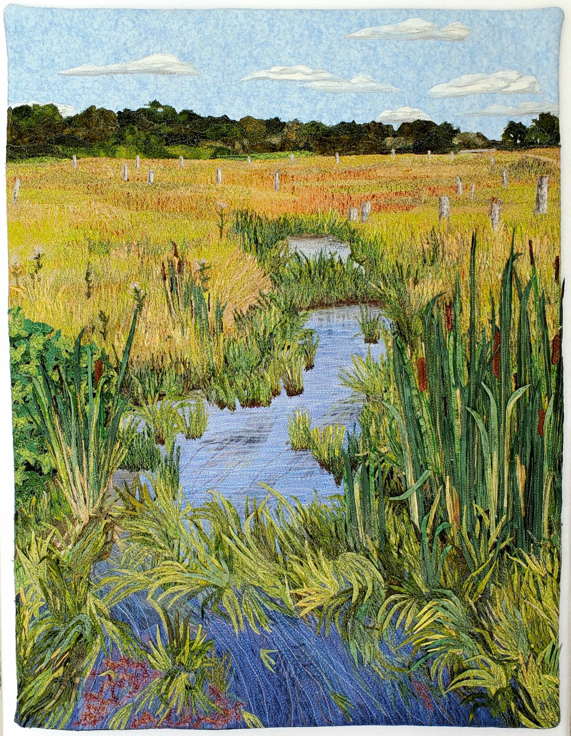  Sue  Colozzi - Flowing Downstream