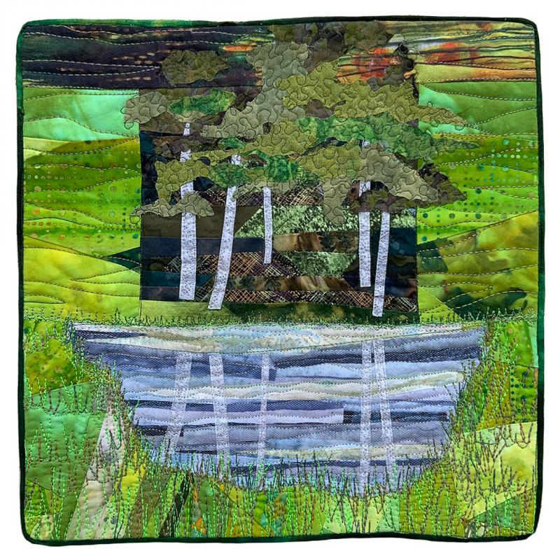 Cindy Loos - Vermont Pond