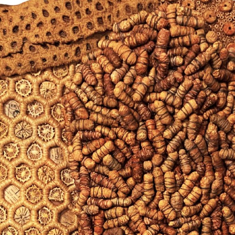  Jennifer  Solon - Swarm