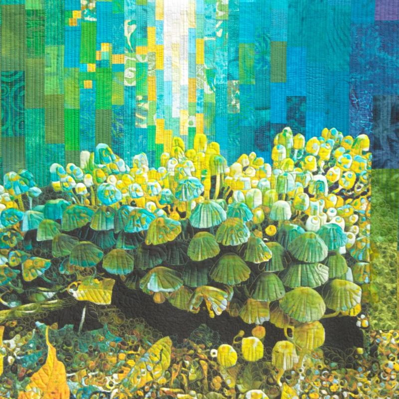  June  DaSilva Horwich - Forest Stories 2