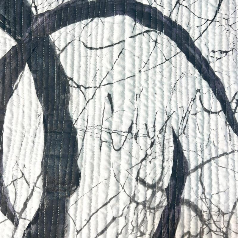 Paula C Dean - Despite the Fractures