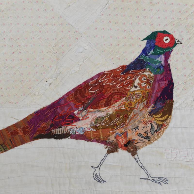 Mandy Pattullo - Pheasant