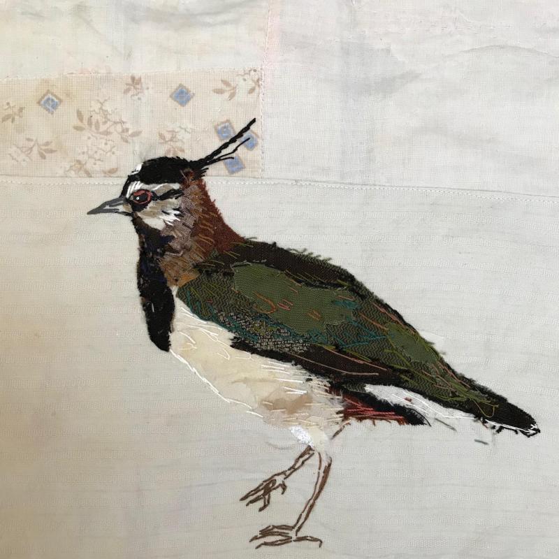 Mandy Pattullo - Lapwing