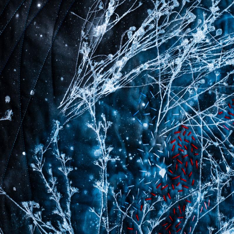 Sue  Dennis - In the Beginning