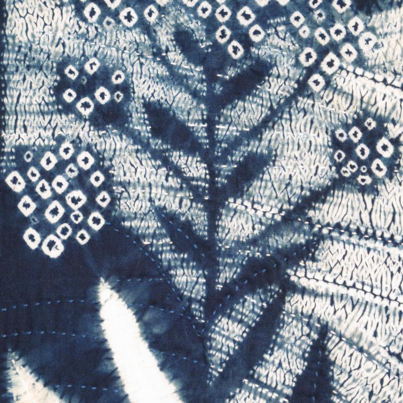  Carol Anne Grotrian - Indigo and the Murex