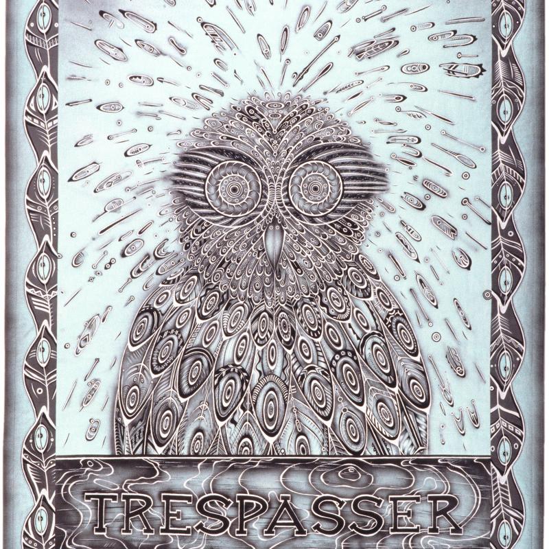 Linda MacDonald - Spotted Owl vs. Chainsaw:  Trespasser