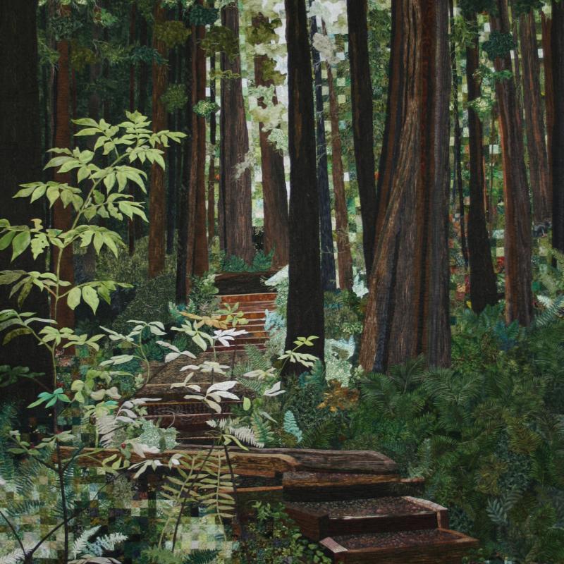 Pat Durbin - Forest Walk