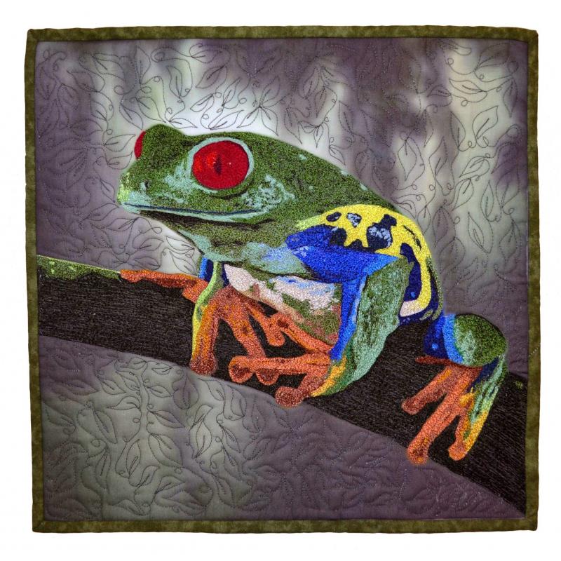 Jan Holzbauer - Red-Eyed Tree Frog