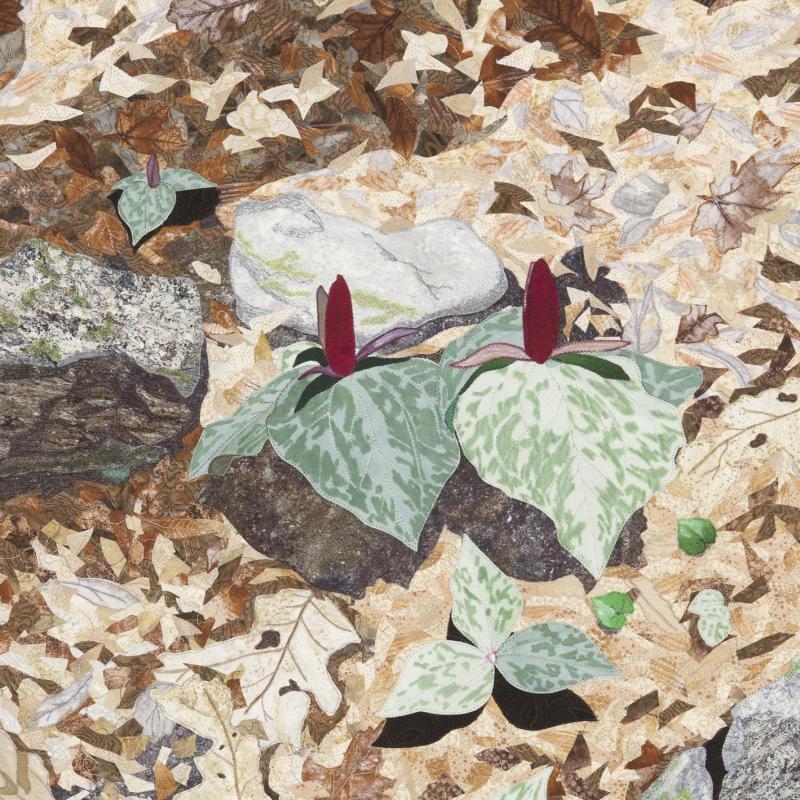  JoAnn G Camp - Appalachian Spring--Trillium