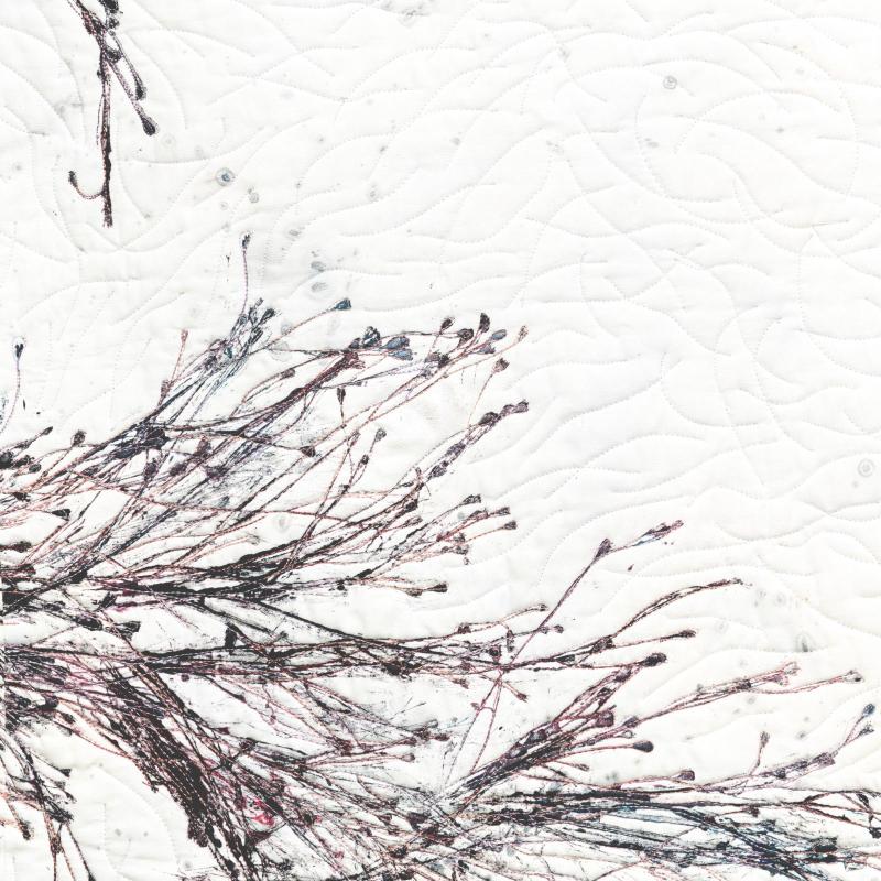 Sue  Dennis - Tempest