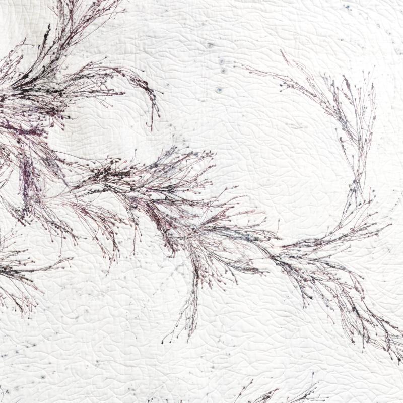 Sue  Dennis - Tempest