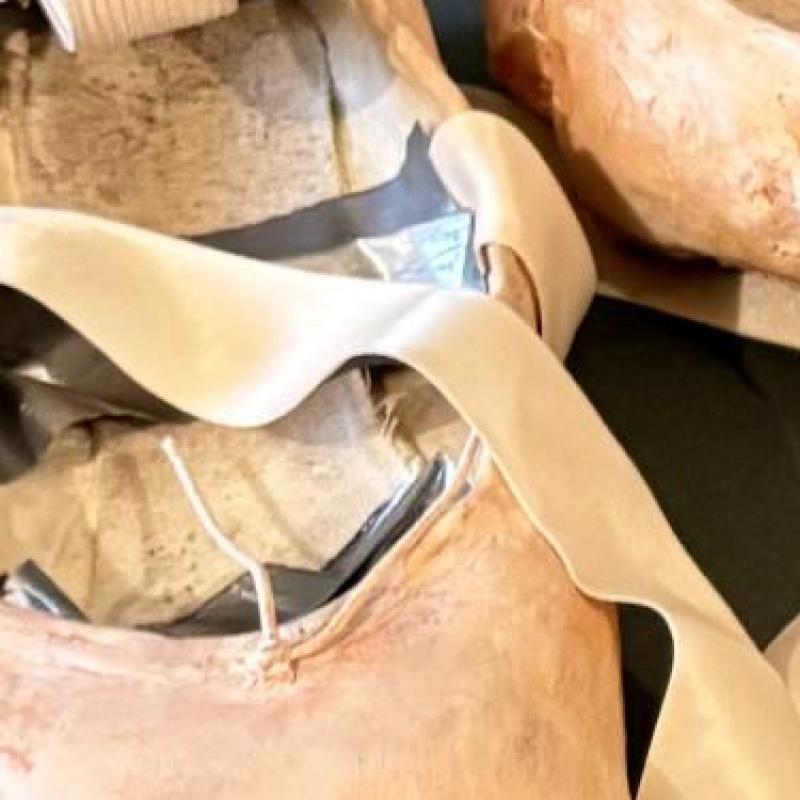  Tiprin  Follett - En Pointe Illusion