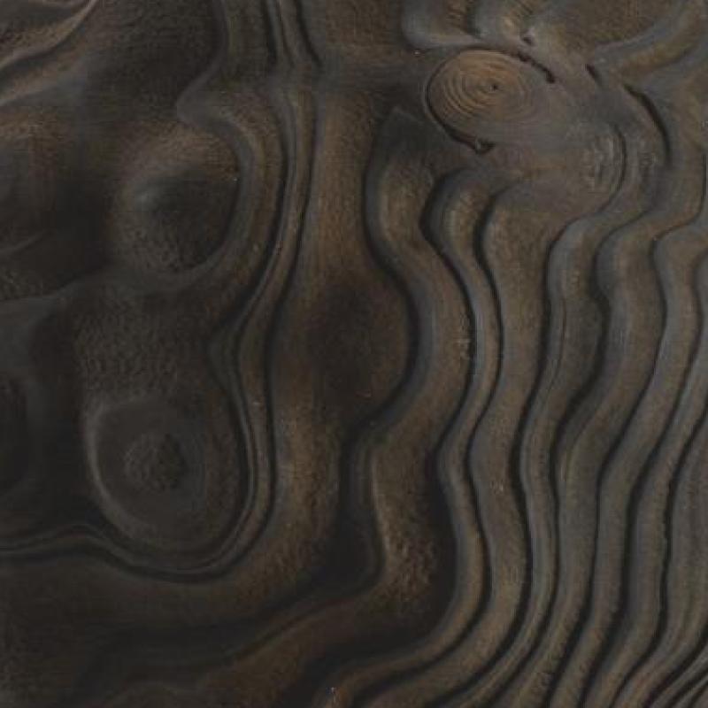  Eleanor  Lakelin - Eroding Earth #1